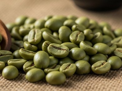 Coffee farm plantation in Indonesia